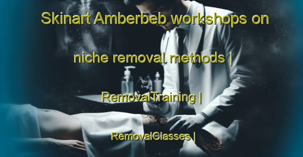 Skinart Amberbeb workshops on niche removal methods | RemovalTraining | RemovalClasses | SkinartTraining-Eritrea